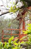 Туры в отель Leopard Nest in Yala Туры в отель Leopard Nest in Yala