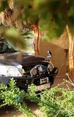 Туры в отель Leopard Nest in Yala Туры в отель Leopard Nest in Yala