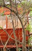 Туры в отель Leopard Nest in Yala Туры в отель Leopard Nest in Yala
