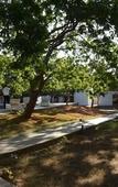 Туры в отель Arana by Forest Trails Туры в отель Arana by Forest Trails