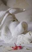 Туры в отель Satiana Villa Tangalle Туры в отель Satiana Villa Tangalle