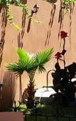 Туры в отель Villa Rita Guest House Туры в отель Villa Rita Guest House