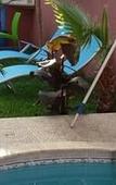 Туры в отель Villa Rita Guest House Туры в отель Villa Rita Guest House