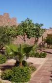 Туры в отель Kasbah Angour Туры в отель Kasbah Angour
