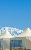 Туры в отель The White Camel Lodge Туры в отель The White Camel Lodge