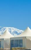 Туры в отель The White Camel Lodge Туры в отель The White Camel Lodge