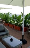 Туры в отель Nour Plazza Fes Туры в отель Nour Plazza Fes