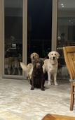Туры в отель Bhalil Farm House Туры в отель Bhalil Farm House