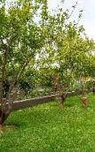 Туры в отель The Lemonary Marrakech Туры в отель The Lemonary Marrakech