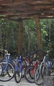 Туры в отель Jolie Jungle Eco Hotel Туры в отель Jolie Jungle Eco Hotel