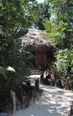 Туры в отель Jolie Jungle Eco Hotel Туры в отель Jolie Jungle Eco Hotel