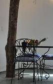 Туры в отель Jolie Jungle Eco Hotel Туры в отель Jolie Jungle Eco Hotel