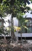 Туры в отель Jolie Jungle Eco Hotel Туры в отель Jolie Jungle Eco Hotel