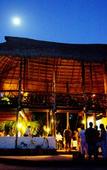 Туры в отель Jolie Jungle Eco Hotel Туры в отель Jolie Jungle Eco Hotel
