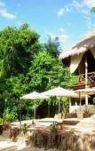 Туры в отель Jolie Jungle Eco Hotel Туры в отель Jolie Jungle Eco Hotel