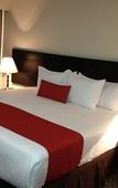 Туры в отель St Isidro Suites Corporate Housing SPA & Wellness Center Туры в отель St Isidro Suites Corporate Housing SPA & Wellness Center