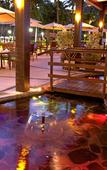Туры в отель Club Regina Puerto Vallarta managed by Accor Туры в отель Club Regina Puerto Vallarta managed by Accor