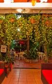 Туры в отель Hotel Posada de Roger - Near Los Muertos Beach Туры в отель Hotel Posada de Roger - Near Los Muertos Beach