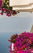 Туры в отель Grand Miramar All Luxury Suites & Residences Туры в отель Grand Miramar All Luxury Suites & Residences