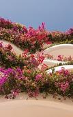 Туры в отель Grand Miramar All Luxury Suites & Residences Туры в отель Grand Miramar All Luxury Suites & Residences