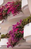 Туры в отель Grand Miramar All Luxury Suites & Residences Туры в отель Grand Miramar All Luxury Suites & Residences