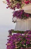 Туры в отель Grand Miramar All Luxury Suites & Residences Туры в отель Grand Miramar All Luxury Suites & Residences
