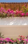 Туры в отель Grand Miramar All Luxury Suites & Residences Туры в отель Grand Miramar All Luxury Suites & Residences