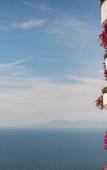 Туры в отель Grand Miramar All Luxury Suites & Residences Туры в отель Grand Miramar All Luxury Suites & Residences