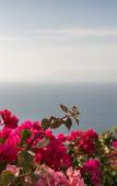 Туры в отель Grand Miramar All Luxury Suites & Residences Туры в отель Grand Miramar All Luxury Suites & Residences