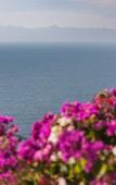 Туры в отель Grand Miramar All Luxury Suites & Residences Туры в отель Grand Miramar All Luxury Suites & Residences