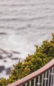 Туры в отель Grand Miramar All Luxury Suites & Residences Туры в отель Grand Miramar All Luxury Suites & Residences