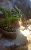 Туры в отель Marboka Hotel & Suites Туры в отель Marboka Hotel & Suites