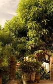 Туры в отель Casa Cupula Luxury LGBT Boutique Hotel Туры в отель Casa Cupula Luxury LGBT Boutique Hotel