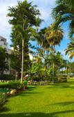 Туры в отель Marival Emotions All-Inclusive Resort by Mercure Туры в отель Marival Emotions All-Inclusive Resort by Mercure