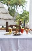 Туры в отель Vista Vallarta All Suites on the Beach Туры в отель Vista Vallarta All Suites on the Beach