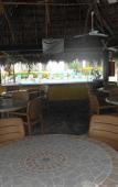 Туры в отель Vista Vallarta All Suites on the Beach Туры в отель Vista Vallarta All Suites on the Beach