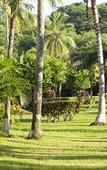 Туры в отель Vista Vallarta All Suites on the Beach Туры в отель Vista Vallarta All Suites on the Beach