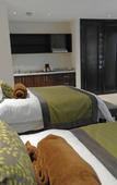 Туры в отель Aurea Hotel & Suites Туры в отель Aurea Hotel & Suites
