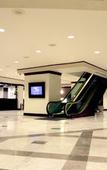Туры в отель MS Milenium Monterrey, Curio Collection by Hilton Туры в отель MS Milenium Monterrey, Curio Collection by Hilton