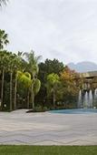 Туры в отель MS Milenium Monterrey, Curio Collection by Hilton Туры в отель MS Milenium Monterrey, Curio Collection by Hilton
