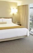 Туры в отель MS Milenium Monterrey, Curio Collection by Hilton Туры в отель MS Milenium Monterrey, Curio Collection by Hilton