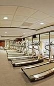 Туры в отель MS Milenium Monterrey, Curio Collection by Hilton Туры в отель MS Milenium Monterrey, Curio Collection by Hilton