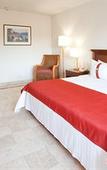 Туры в отель Gamma Plaza Ixtapa Туры в отель Gamma Plaza Ixtapa