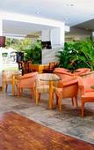 Туры в отель Gamma Plaza Ixtapa Туры в отель Gamma Plaza Ixtapa