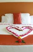 Туры в отель Hotel Ixzi Plus Туры в отель Hotel Ixzi Plus