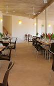 Туры в отель Hotel Ixzi Plus Туры в отель Hotel Ixzi Plus