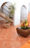 Туры в отель Pacifica Resort Ixtapa All-Inclusive Туры в отель Pacifica Resort Ixtapa All-Inclusive
