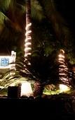 Туры в отель Pacifica Resort Ixtapa All-Inclusive Туры в отель Pacifica Resort Ixtapa All-Inclusive
