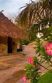 Туры в отель Pacifica Resort Ixtapa All-Inclusive Туры в отель Pacifica Resort Ixtapa All-Inclusive