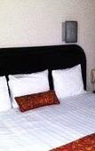 Туры в отель Howard Johnson Leon Avenida Туры в отель Howard Johnson Leon Avenida